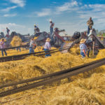 More than 760 registered threshing team members and 139 threshing outfits are the new world record holders for the largest threshing event in history.  Harvesting Hope at the annual threshing event in Austin was a fundraiser for the Canadian Foodgrains Bank.