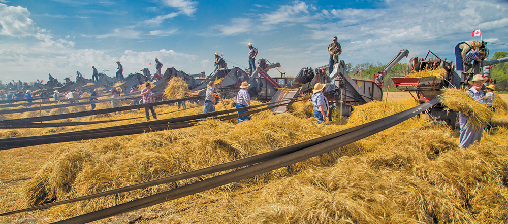 More than 760 registered threshing team members and 139 threshing outfits are the new world record holders for the largest threshing event in history.  Harvesting Hope at the annual threshing event in Austin was a fundraiser for the Canadian Foodgrains Bank.