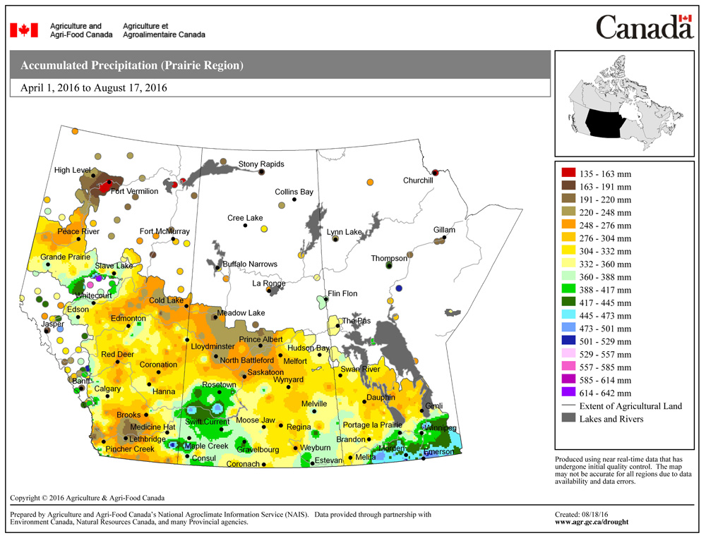 This map shows the total amount of precipitation that has fallen across the Prairies so far this growing season (April 1 – Aug. 17). With the exception of the High Level region in northern Alberta, nearly everyone has seen at least 200 mm of precipitation, with a good portion of the Prairies seeing over 300 mm. Extreme southern Manitoba, along with southwestern Saskatchewan and part of southeastern Alberta, have received amounts in the 400- to 550-mm range.