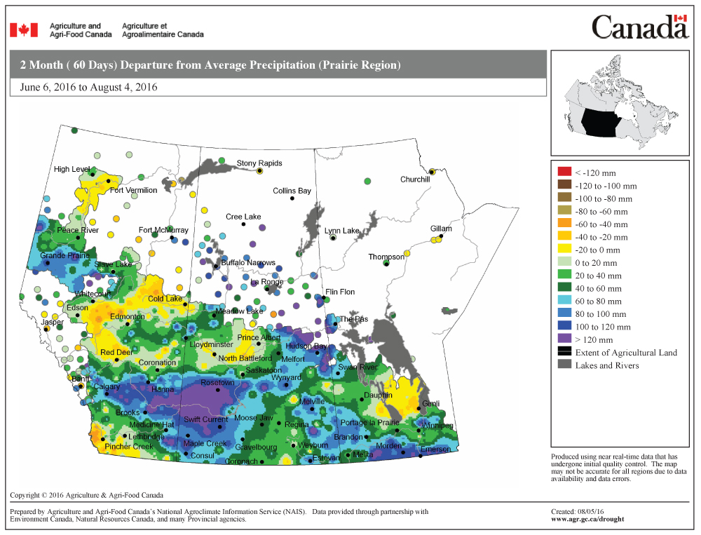 This map shows the total amount of precipitation that has fallen across the Prairies during the first two months of this summer as a departure from average. Areas that are dark yellow to brown have seen below-average amounts; light-yellow, blue and green areas are near average; and dark-green, blue and purple areas have seen above-average amounts. A large portion of the Prairies has been relatively wet, with southeastern Alberta and southwestern Saskatchewan the wettest, receiving 100-120 mm or more precipitation above their averages.
