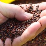 Editorial: Called out on our dirty little secret