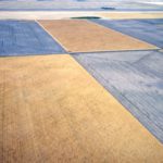 Aerial view of crops