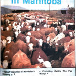 The value of finishing and processing beef in Manitoba