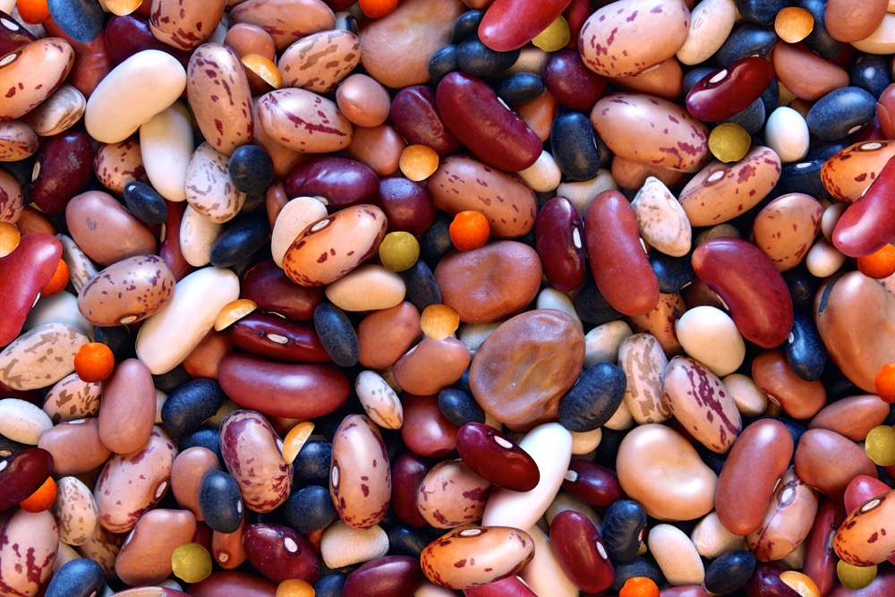 Bean and lentil legumes background as a group of assorted fava soy red black beans as a healthy nutrition high fiber food concept as a healthy cooking natural food ingredient.