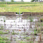 A small dam holds back water at the Morden research centre.