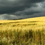 Carbon pricing coming to Manitoba: KAP wants farmers’ input to get best plan