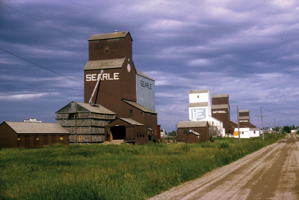 In 1966, when this photo was taken, Angusville had no fewer than four grain elevators operated by three companies: Searle, United Grain Growers, and National. The UGG elevator, second from left, was built in 1934, replacing an elevator that had burned to the ground earlier that year. It was sold to Federal Grain in October 1968 then resold to Manitoba Pool Elevators in 1972. Today, it is the only one left, used by a private company.