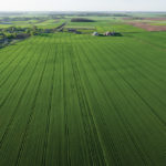 Rising land prices have fuelled concerns over ownership rules for farmland across the country.