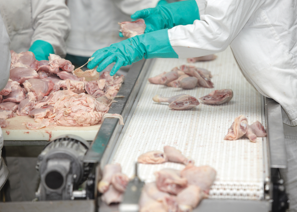 Action finally in sight on CFIA modernization Manitoba Cooperator