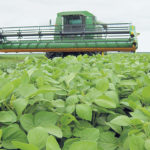 Not all Manitoba soybeans are in the bin yet, but once they are it’s expected the provincial average yield will set a new record.