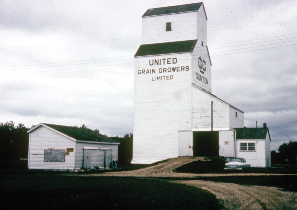 A wooden grain elevator at Gunton, south of Teulon in the Rural Municipality of Rockwood, was built in September 1951, replacing one destroyed by fire on July 24, 1951. This photo from 1964 shows it with the white colour scheme adopted by the company a few years earlier. Norman “Pinky” Herd was the agent from 1952 to retirement in 1980. The elevator closed in July 1984 and was removed.