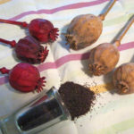 Poppy seed heads can be left natural (r) or colour added such as these burgundy painted ones (l). Black poppy seeds are seen spilling from a container.