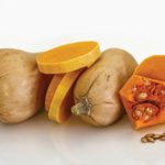 Squash is easy to store and prepare.