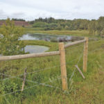 ALUS Canada funds acres of ecosystem services, such as wildlife habitat, pollinator meadows, carbon capture, clean air, clean water, and more. Pictured is an example of deer-friendly fencing that allows access to wetland and riparian areas while managing cattle use of fragile areas.