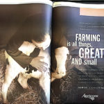 Have you hugged your cow today?