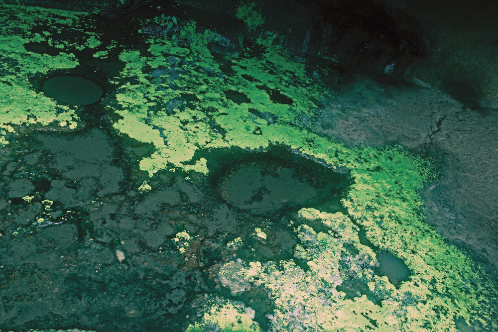 Once a lake enters an ecological crisis, it can be impossible to rehabilitate it.