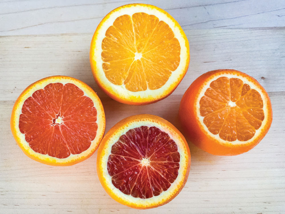 Orange varieties to try (clockwise from top: navel orange, tangelo, blood orange, cara cara orange).