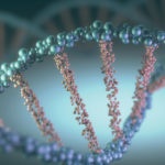 Researchers say a new technique to silence genes is a whole new way of looking at crop protection.