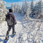 Stay active and healthy in the new year