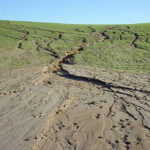An example of rill erosion which occurs when run-off water forms small channels while running down bare soil. 