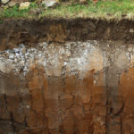 Determining the broad strokes of soil quality could all boil down to  doing the math.