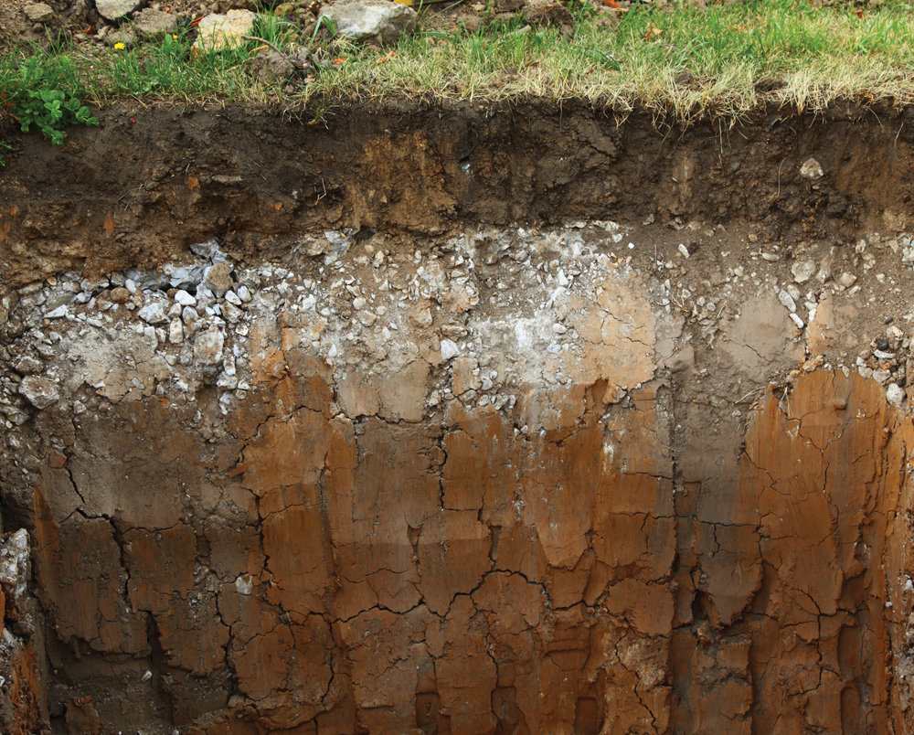 Determining the broad strokes of soil quality could all boil down to  doing the math.