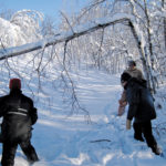 Clearing the trail after a heavy, wet snowfall.