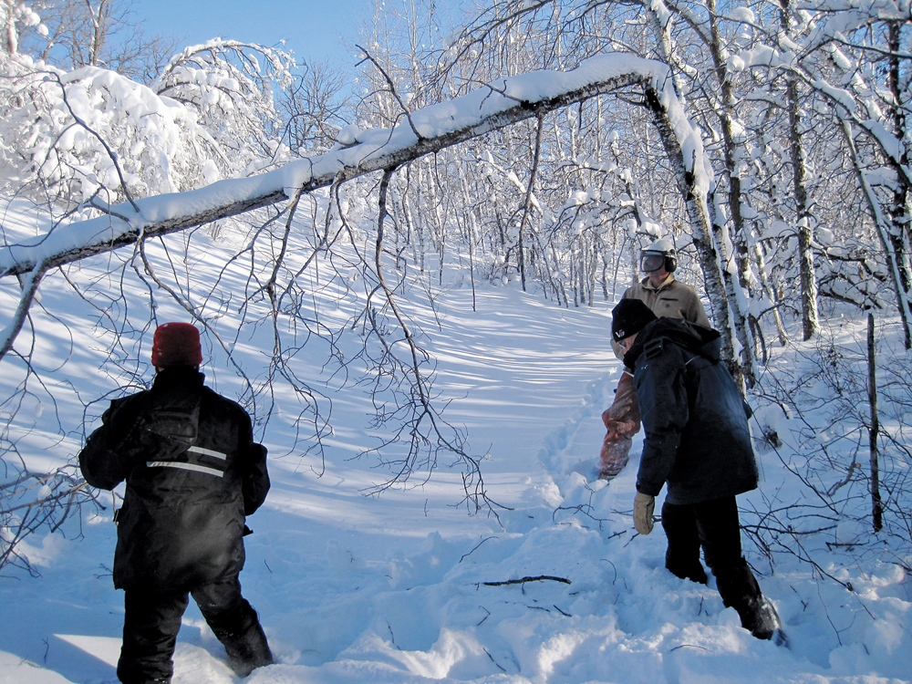 Clearing the trail after a heavy, wet snowfall.