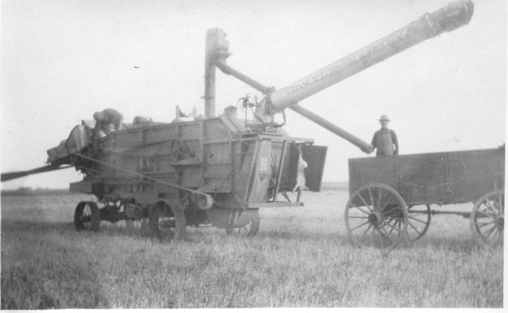 The McPhail Sawyer Massey thresher in 1919. The machine does not appear to be running as there is a man on top of the machine bent over doing something, perhaps oiling the bearing on a shaft. The spokes on the pulleys are visible which indicates the pulleys are not revolving. If the pulleys were revolving the spokes would not be visible. In addition, the man on top of the machine would have been foolish to get close to moving pulleys and belts as projecting keys and metal belt lacing possessed the terrible ability to catch clothing and pull the person into the machinery. While oiling the babbitt bearings in use at the time needed to be done on a very regular basis, long spouted oil cans allowed the operators to remain as far away as possible from revolving parts. All the same, in the Pioneer era, missing fingers and limbs were common as a result of farm machinery accidents.