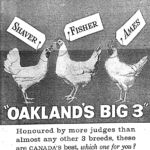 Oakland Hatcheries’ ‘Big 3’ in egg production