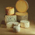 There appears to be no problem with milk from cows on extended lactation when it comes to cheese making.