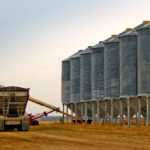 Opinion: Wheat growers support free trade