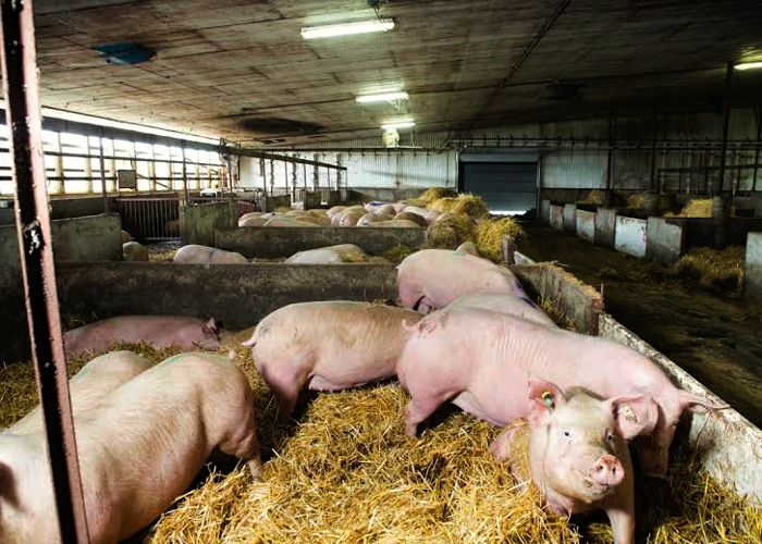 Farm building code streamlined