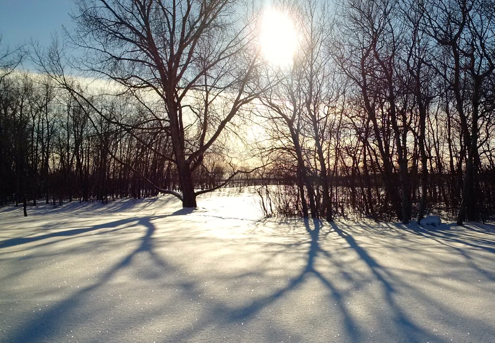 Winter now 60 per cent done