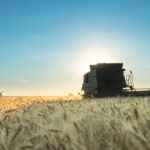 Farmers will have to produce more food to feed a growing population, but maybe not as much more as many think.