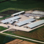 Rosser Holsteins, located west of Winnipeg, covers 2,500 acres and has 500 dairy cows.