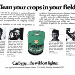 Wild oat chemical control options