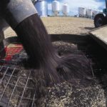 Canola drops below chart support with fund selling