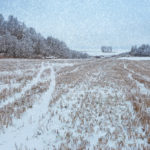 Frozen cropland may be a larger source of nitrous oxide emissions than previously understood.