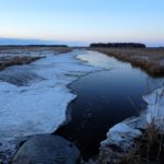 With the arrival of warmer temperatures, creeks are beginning to open up and start to flow. 