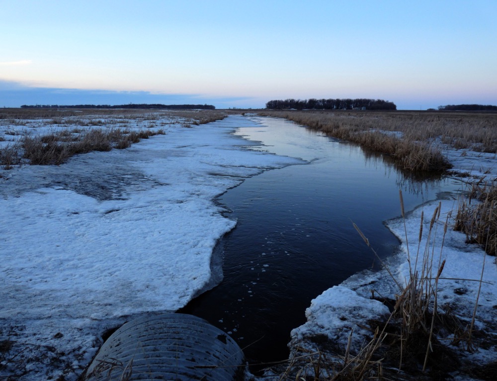 With the arrival of warmer temperatures, creeks are beginning to open up and start to flow. 