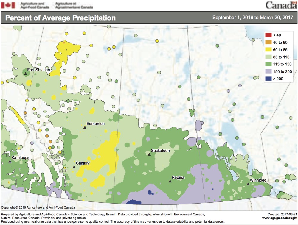 This map shows the total amount of precipitation that has fallen across the Prairies this last fall, winter and early spring as a percentage of the long-term average. It has been a fairly wet period over much of agricultural Saskatchewan and Manitoba, with most regions reporting precipitation amounts between 115 and 200 per cent of average.