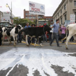Upcoming NAFTA negotiations could spill a lot of milk for dairy producers — and that’s just the beginning according to two well-known commentators.