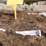 A simple pair of cotton underwear can tell you a surprising amount about your soil health.