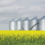 The Canola Council of Canada says production goals and longer rotations can both happen.