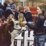 Orianna Hyndman of Hamiota shows in the Don Mitchell Memorial Showmanship competition March 30, taking third in her age bracket.