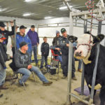 Clinic participants take an in-depth look at clipping best practices March 28.