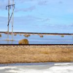 Bales submerged near Brunkild.