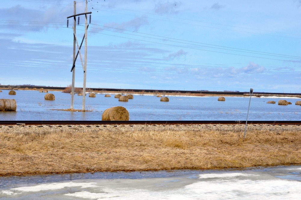 Bales submerged near Brunkild.