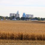 A corn field in Iowa at harvest.
